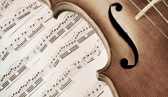violina, glazba, muzika, note