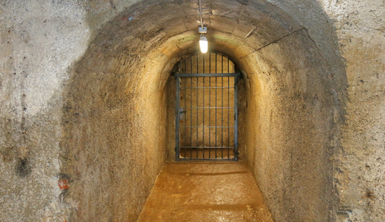 Šetnja vojnim tunelom kod katedrale sv. Vida