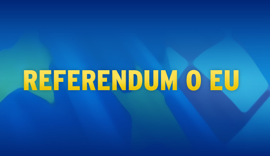 Referendum EU