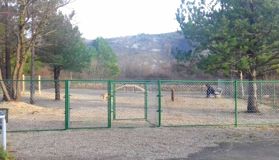 Na području MO Grad Trsat, u istočnom dijelu, južno od kućnog broja 10 u ulici Kačjak uređen je park za pse. Park površine 700m2 je pošljunčan i ograđen mrežastom ogradom s pretprostorom te opremljen spravama, klupama i parkovnim košaricama.