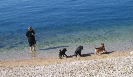 Nova plaža za pse - Brajdica na Pećinama