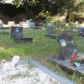 Na području Lukovića Grad Rijeka uredio je postojeće Groblje kućnih ljubimaca u okviru kojeg je uređen i novi park za pse.
