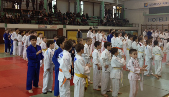 Međužupanijska judo liga "Ippon"