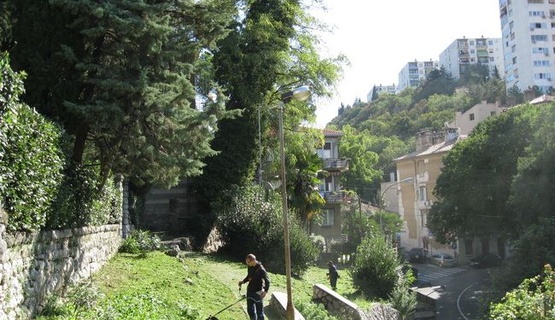 U sklopu redovnog održavanja zelenih površina na području Mjesnog odbora Škurinjska Draga danas je obavljena košnja zelenih površina na dnu Ulice Lukačićeve stube.