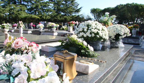 Misnim slavljima diljem Hrvatske sutra, 1. studenoga, u crkvama će se obilježiti spomen na svete mučenike, blagdan Svih svetih, a 2. studenoga, na spomendan mrtvih Dušni dan, građani će se prisjetiti svojih najmilijih, polažući cvijeće i paleći svijeće na njihove grobove. Gradska groblja i danas su prepuna cvijeća.