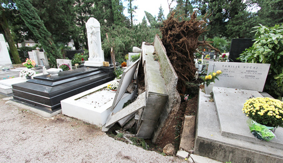 Bura nanijela velike štete na groblju Kozala