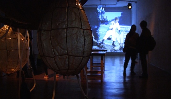 Otvorena izložba „Oprema za preživljavanje u antropocenu“ slovenske umjetnice Maje Smrekar