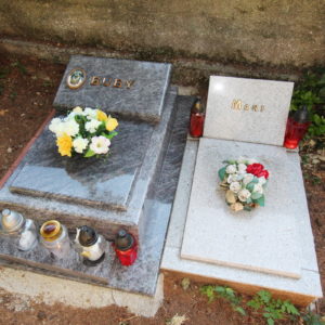 Uređenje groblja za kućne ljubimce i parka za pse