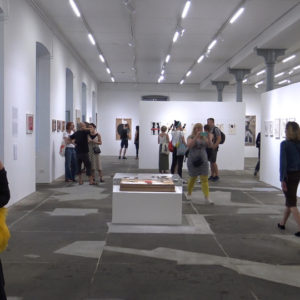 Izložba s više naslova Vlade Marteka (1)