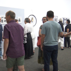 Izložba s više naslova Vlade Marteka (1)