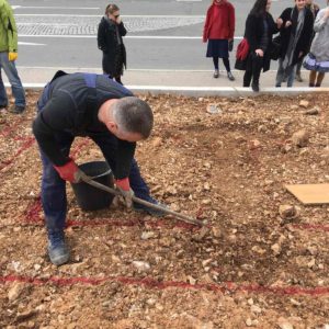 Izgradnja suhozida na Kampusu