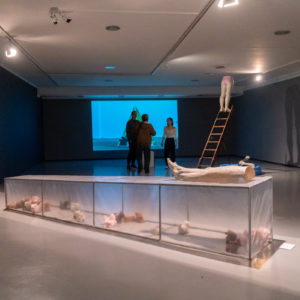 Izložba Vertigo Martine Ištvan i Leopolda Rupnika otvorena u Kortilu (10)