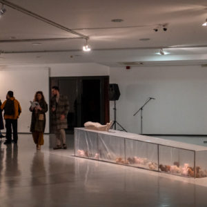 Izložba Vertigo Martine Ištvan i Leopolda Rupnika otvorena u Kortilu (10)