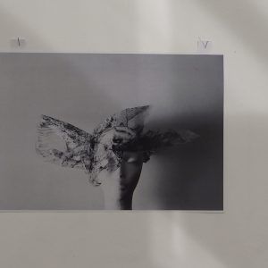 Izložba Odakle dolazimo