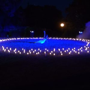 15. Ljeto na Gradini