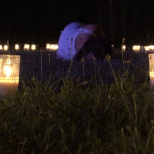 15. Ljeto na Gradini