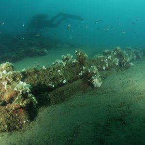 Ronilačka akcija Potraga za torpedom