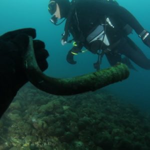 Ronilačka akcija Potraga za torpedom