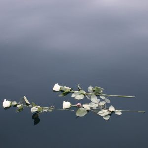 Srebrenica svijetom hodi (1)