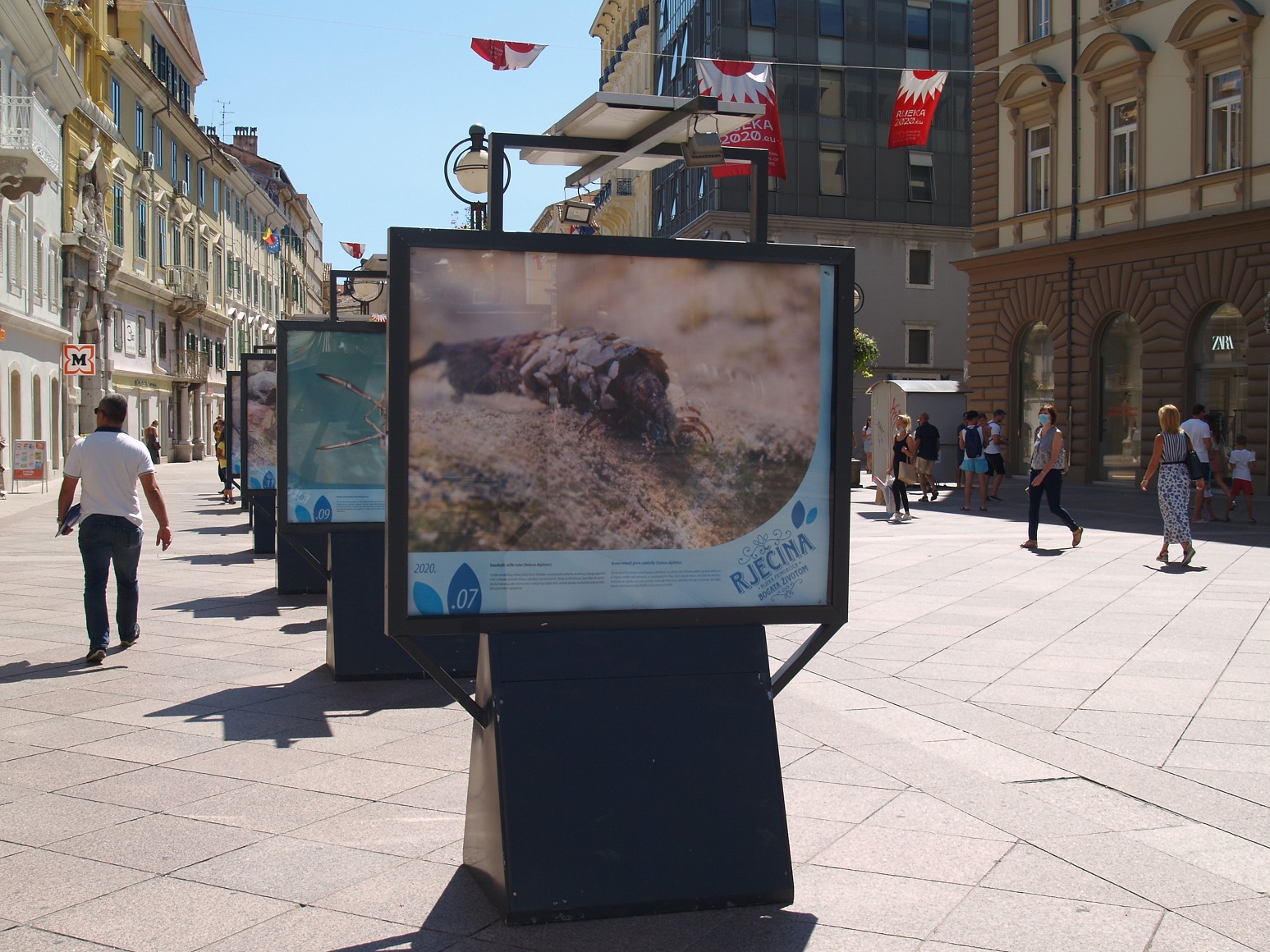 Izložba Rječina – rijeka primorčica bogata životom