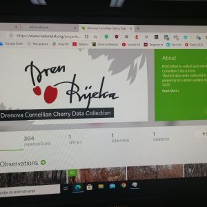 Dani prirode na Drenovi