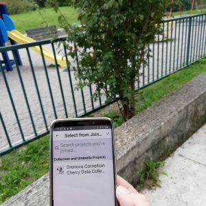 Dani susjedstva Drenova