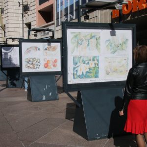 Izložba prikazuje i Kišov slikarski opus