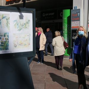 Izložba na postamentima posvećena pejzažnom arhitektu Dragutinu Kišu