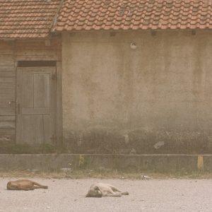 Zasto mama vazda place by Karmen Obrdalj