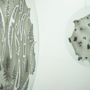 Kristina Čehulić – „Biljni fragmenti“, 2019., staklena fuzija