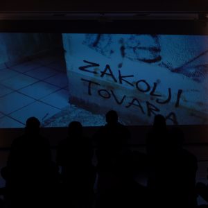 Performans Ne brzimo baš sve