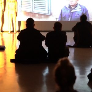 Video razgovori s manjinskim skupinama