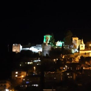 Trsatsa gradina u zelenom