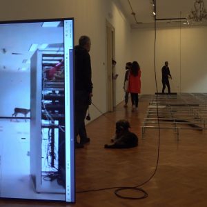 Instalacija Nestabilne infrastrukture i zečje rupe