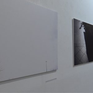 Fotografije Ivice Nikolca