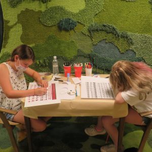 Od optičke iluzije do optičkih igračaka_Tobogan 2021 (4)