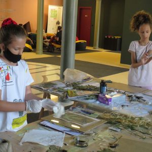 Trikovi cijanotopije_Tobogan 2021 (18)