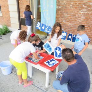 Trikovi cijanotopije_Tobogan 2021 (19)