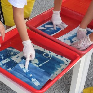 Trikovi cijanotopije_Tobogan 2021 (6)