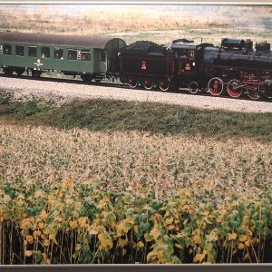 Izložba Putovanje kroz vozne redove (1)