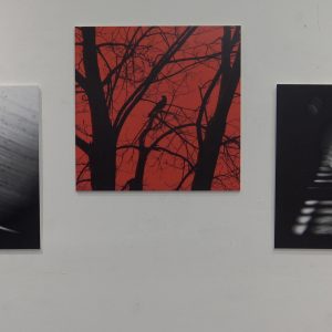 Fotografska izložba „3 Žorža“ u Kloviću