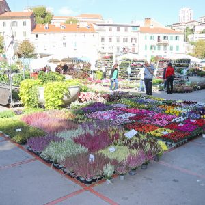 Jesenski sajam kod Konta