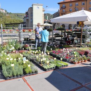 Jesenski sajam kod Konta