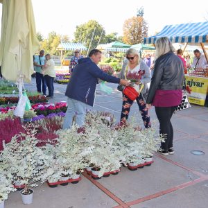 Jesenski sajam kod Konta