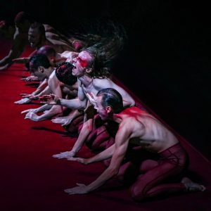 TransParada / Foto Fanni Tutek Hajnal