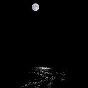 1. NAGRADA - Žaklina Antonijević LOW TIDE