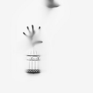 Anita Živaljić, I. nagrada Stranci - KOLEKCIJA