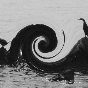 Bruno Bontempo . Kostrenski gnjurci - II. nagrada