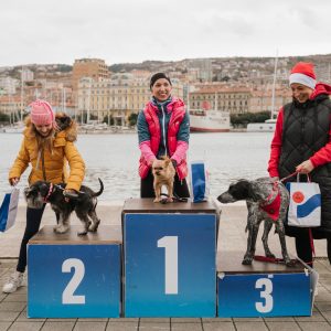 Foto Torpedo runners