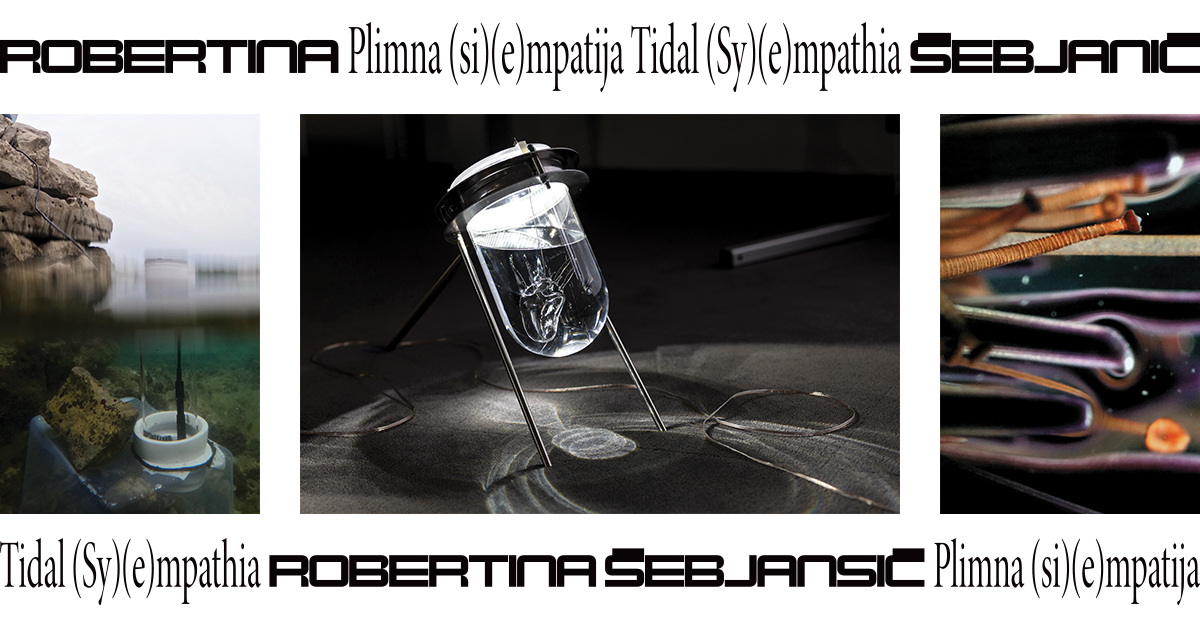Robertina Šebjanič - Tidal Sy_e_mpathia - vizual